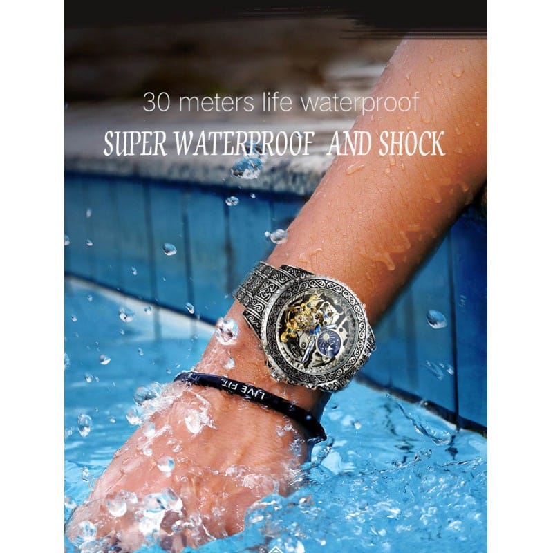 Picture of Forsining TM-378G Automatic Mechanical Luxury Japan Movement Fashion Luminous Waterproof Men's Watches 