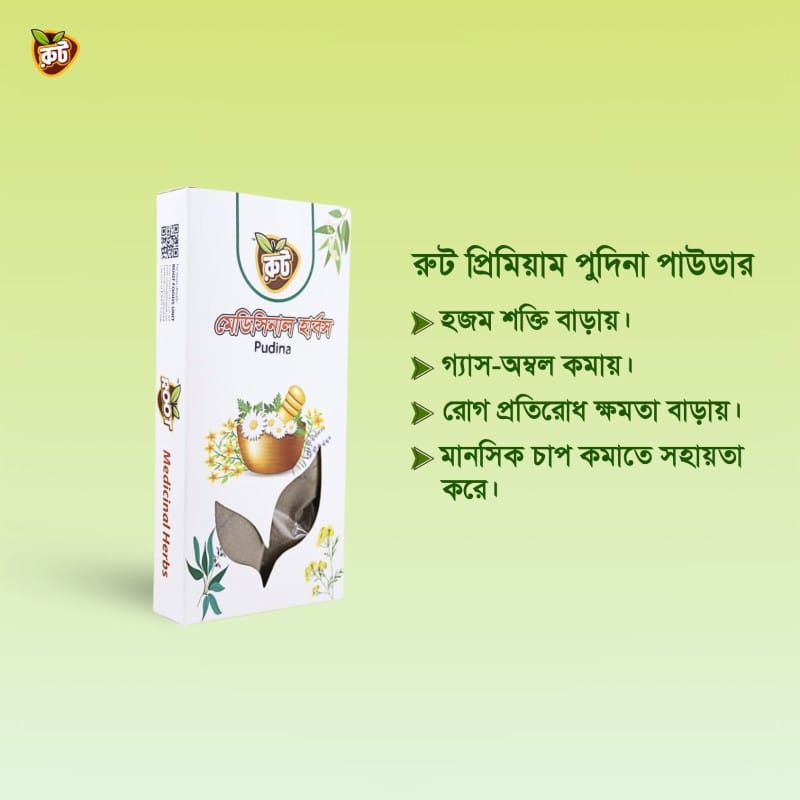 Picture of Pudina Pata Gura/Mint Leaf Powder/Premium Pudina, Mint Powder (100 gm)