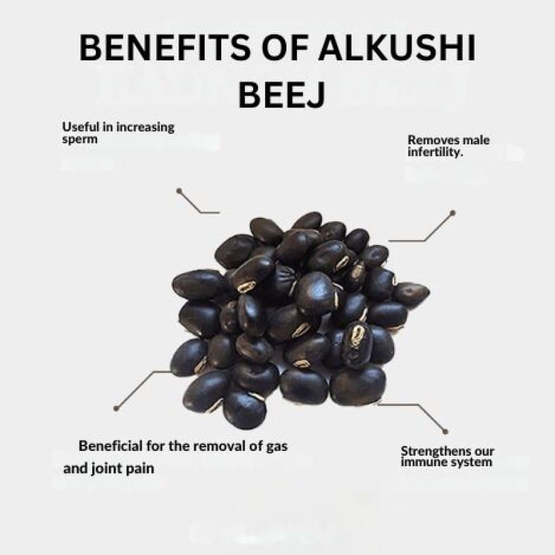 Picture of Alkushi Powder/Root Premium Alkushi Powder 100g /organic & natural