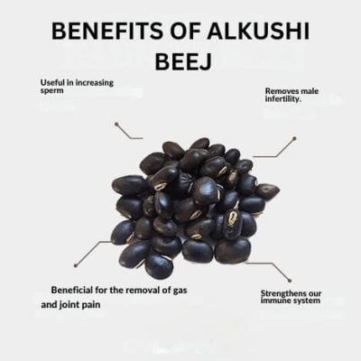 Picture of Alkushi Powder/Root Premium Alkushi Powder 100g /organic & natural
