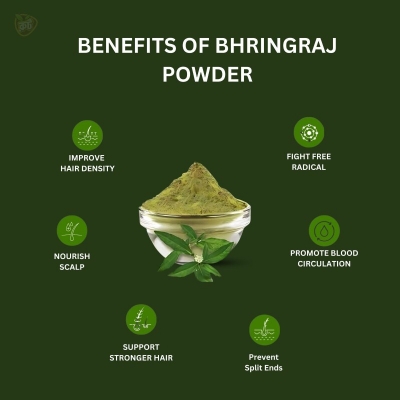 Picture of Vringoraj Powder/Root Premium Bhringraj Powder (100g)