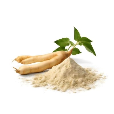 Picture of Ginseng root Powder, Premiume China ginseng Powder ( jinsing Powder) 100 gm