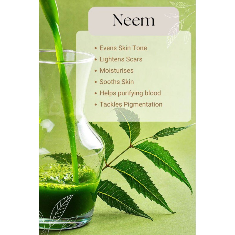 Picture of Neem powder/ Root Premium Neem Leaf Powder (100g)