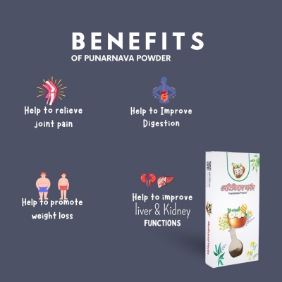Picture of Punarnava Powder/Root Premium Punarnava Powder/HerbalHealthSolution