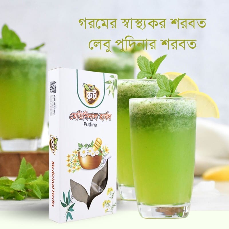 Picture of Pudina Pata Gura/Mint Leaf Powder/Premium Pudina, Mint Powder (100 gm)