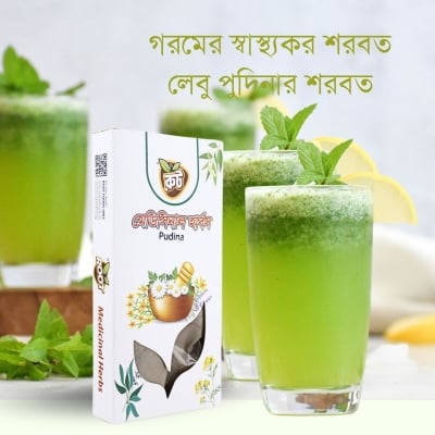 Picture of Pudina Pata Gura/Mint Leaf Powder/Premium Pudina, Mint Powder (100 gm)