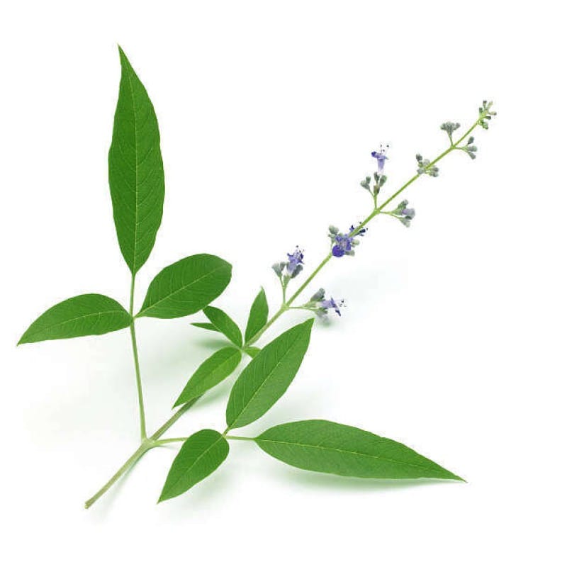 Picture of Nishinda Powder, premium nishinda gura - 100gm