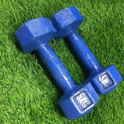 Picture of Blue Dumbbell 5 KG-Blue