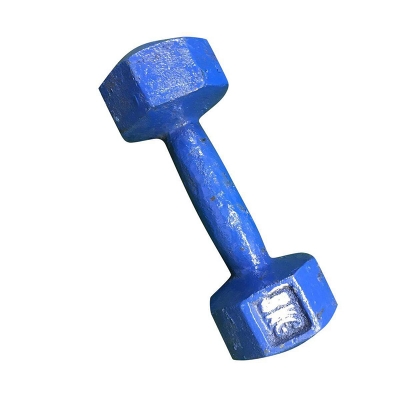 Picture of Dumbbell 5 kg-Blue