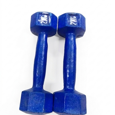 Picture of Blue Dumbbell 2 KG Pairs-Blue