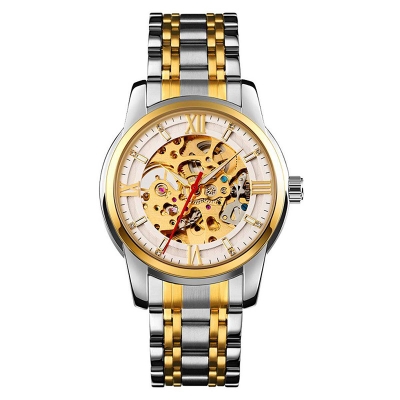 Picture of Skmei 9222 Luxury Design Automatic Mechanical Waterproof Watch for Men-Rose Gold