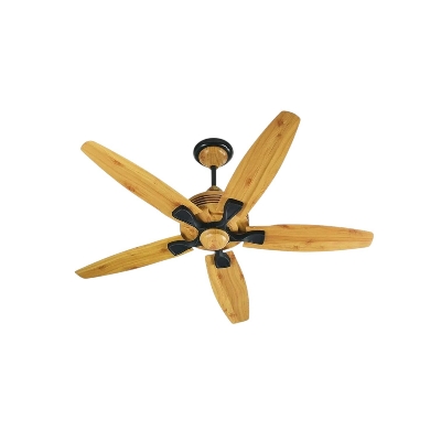 Picture of Pakhtun Penta 5 -56 Inch BLDC Inverter Remote Control Ceiling Fan | Free Delivery