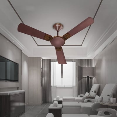 Picture of Havells ENTICER ART 56'' (Espresso Brown) H-270 | Free Delivery-Espresso Brown