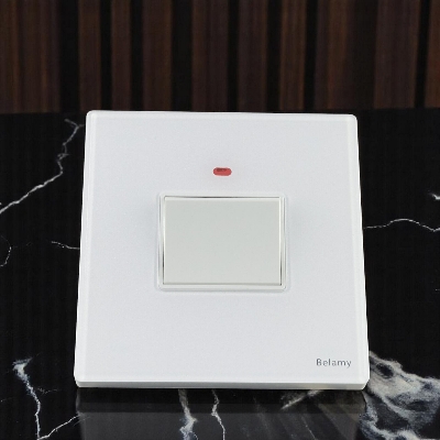 Picture of Belamy White DP Switch 20A | BE-153-SW-White