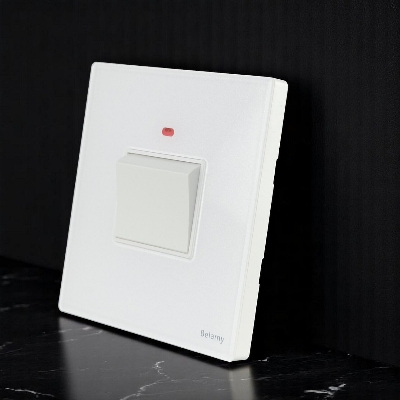 Picture of Belamy White DP Switch 20A | BE-153-SW-White