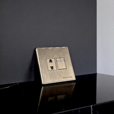 Picture of Belamy Golden 2 PIN Socket with Switch| BE-137-SW-Gold