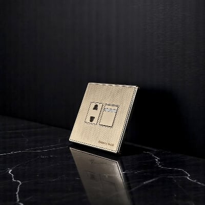 Picture of Belamy Golden 2 PIN Socket with Switch| BE-137-SW-Gold