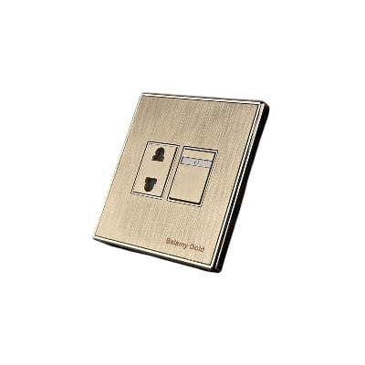 Picture of Belamy Golden 2 PIN Socket with Switch| BE-137-SW-Gold