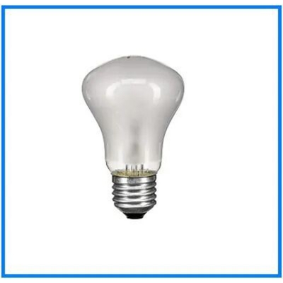 Picture of studio flash bulb simpex 100w 