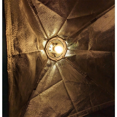 Picture of studio flash bulb simpex 100w 