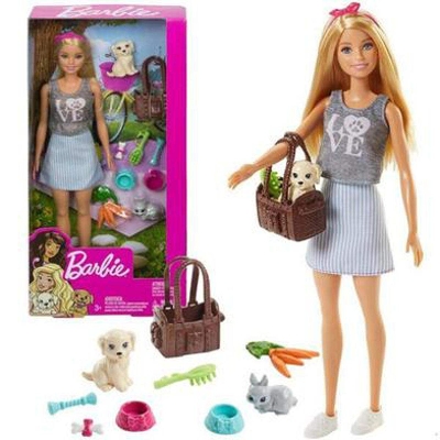 Picture of Barbie Dolls And Pets Playsets for kids- Fpr48-Multicolor
