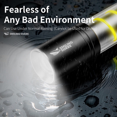 Picture of Smiling shark SD5241 LED Mini Flashlight 3Mode KeyChain Light Type-c Rechargeable Torch Light White warm Light Waterproof Lightweight Outdoor Camping Light - Grey