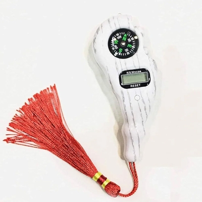 Picture of Digital Tasbeeh with Free Compass Qibla Direction