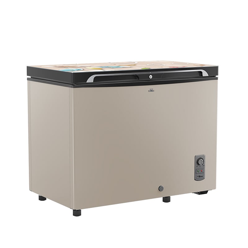 Picture of WALTON Freezer 255 L WCG-2E5-GDLC-XX with Free Delivery