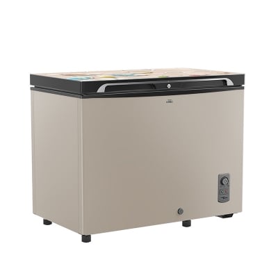 Picture of WALTON Freezer 255 L WCG-2E5-GDLC-XX with Free Delivery