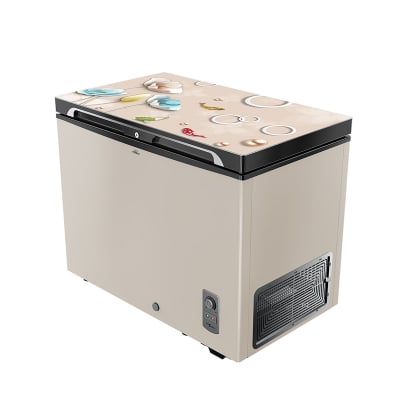 Picture of WALTON Freezer 255 L WCG-2E5-GDLC-XX with Free Delivery