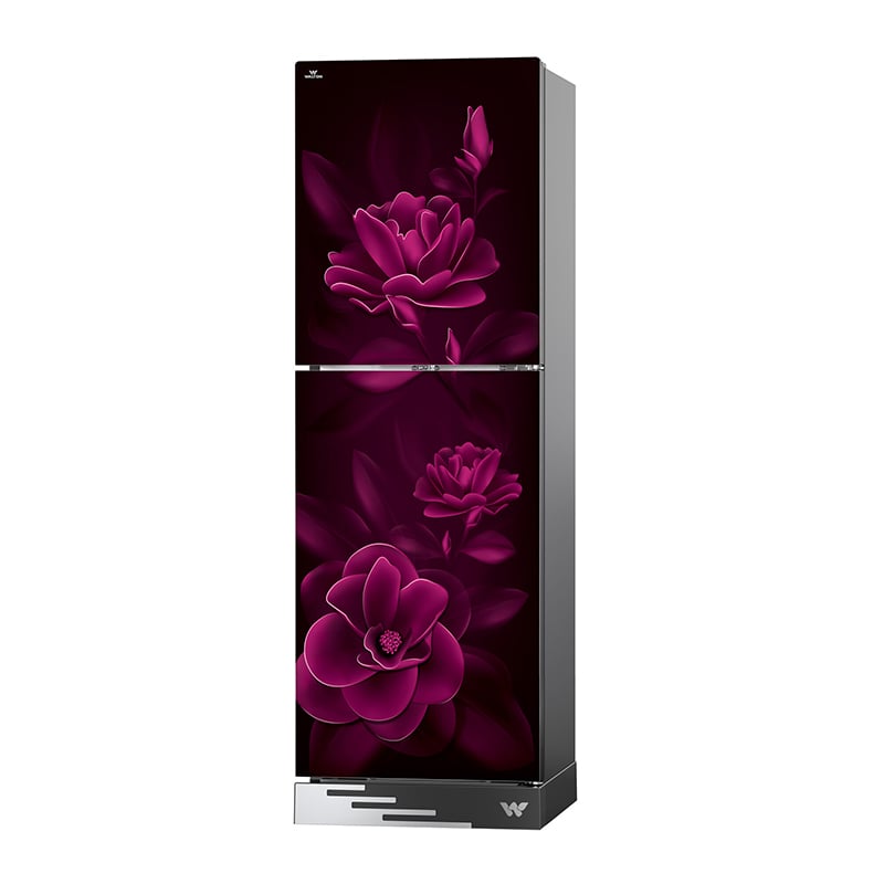 Picture of Walton Direct Cool Refrigerator 244 L WFA-2D4-GDEL-XX with Free Delivery-Multicolor