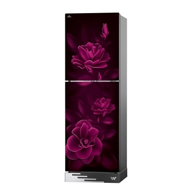 Picture of Walton Direct Cool Refrigerator 244 L WFA-2D4-GDEL-XX with Free Delivery-Multicolor