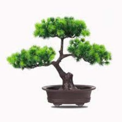 Picture of Artificial Bonsai Tree In Plastic Pot For Office, resturant , Home, Reading Table Home Decoration Item-Green