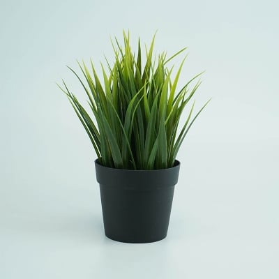 Picture of Artificial Plotted Plant - Home Decoration Item-Green
