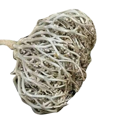 Picture of Moriom Flower-White