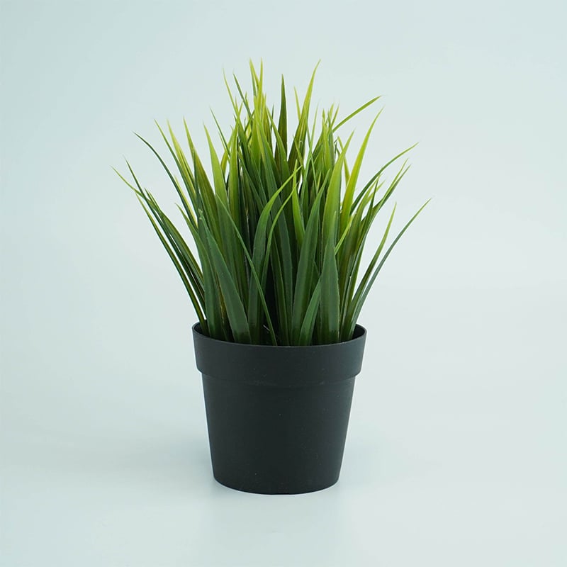 Picture of Artificial Plotted Plant - Home Decoration Item-Green