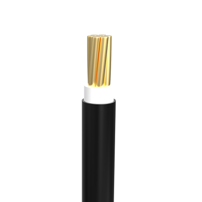Buy Bizli Cable BYA-FR (3.0 rm) Black Online at Best Price