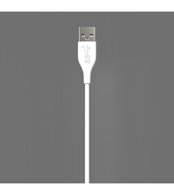Buy Bizli USB Cable Type-B 3A Online at Best Price