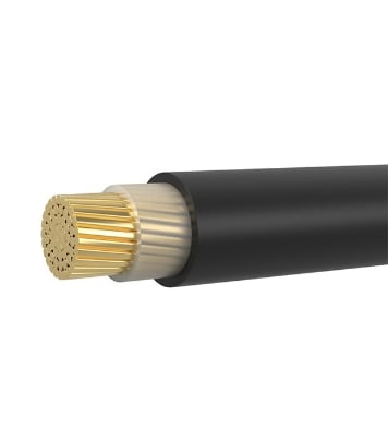 Buy Bizli Cables 2xY(1x4.0 rm) Black Online	