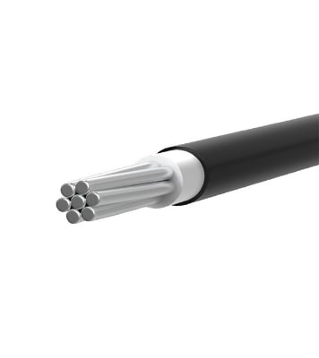 Buy Bizli Cables BAYA (6.0 rm) Black Online	