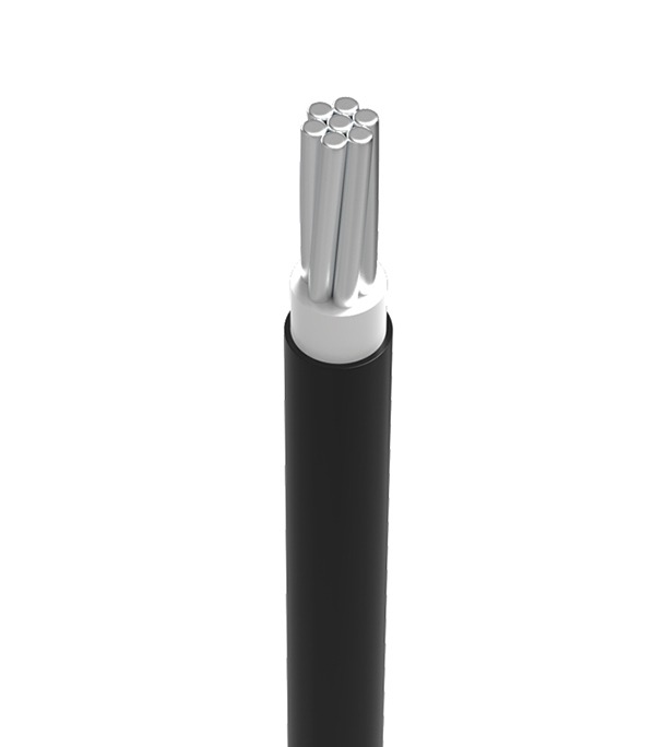 Buy Bizli Cables BAYA (6.0 rm) Black Online	