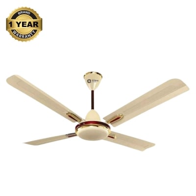 Picture of Orient Quadro 56" (Metallic Ivory Cherry) O-121 | Free Delivery-Metallic Ivory Chery