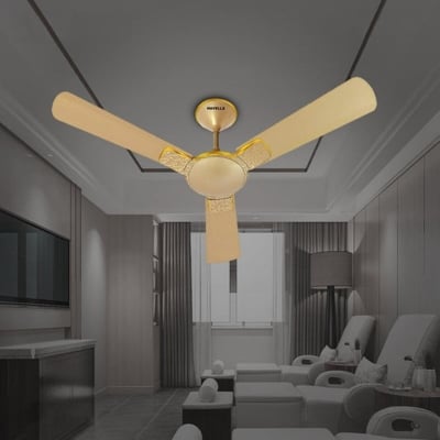 Picture of Havells Enticer Hues 56'' (Gold) H-225 | Free Delivery-Gold
