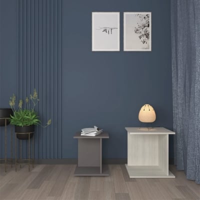 Picture of Furni Zone Spacesby U Sleeko 1+1 Tables for Living Room Nesting Table Finish Color - Albino Light & Dark Grey(Do-It-Yourself)